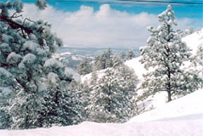 Snow in Western South Dakota