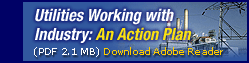 Utilities Working with Industry: An Action Plan
