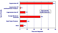 Figure 6. Installed Capacity at U.S. Nonutility
        Generating Facilities by Type of Facility, 1998