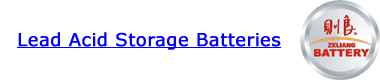 Guangdong Ze Liang Storage Battery Co., Ltd.