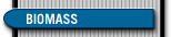 Items related to energy produced from biomass sources