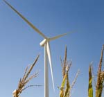 Bloomfield wind turbine - jpg
