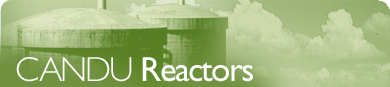 CANDU Reactors