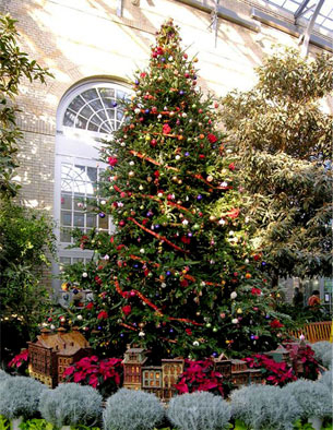 USBG Holiday Tree