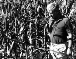 Senator Lugar examines the corn on his Marion County, Indiana farm.