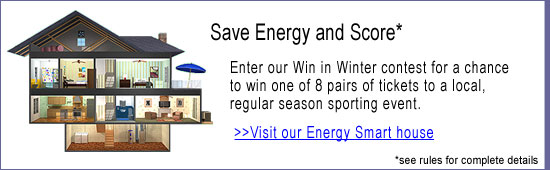 Energy Smart House - Enter to win