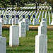 Arlington National Cemetary