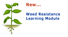 Weed Resistance Module