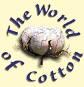 The World of Cotton