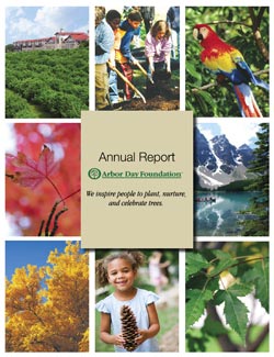 Our Annual Report