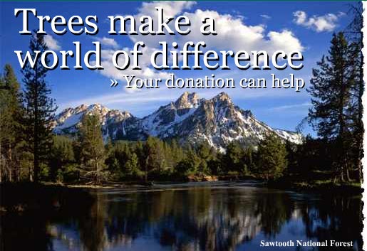Trees make a world of difference. Your donation can help.
