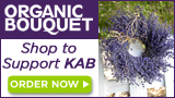 Organic Bouquet lavendar