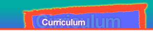 Curriculum