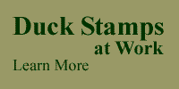 Click here to learn more about duck stamps.
