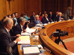 Chairman Akaka leads the Committee on Veterans' Affairs markup of pending legistation.  Pictured on the Chairman's right are Senators Patty Murray (D-WA), Barack Obama (D-IL), Bernard Sanders (I-VT), and Sherrod Brown (D-OH).  On the far left is Ranking Member Larry Craig (R-ID). 