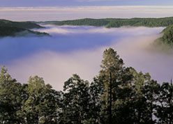 Photo of fog decending into a valley