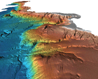 multibeam image