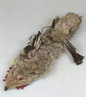 Coyote headdress (Teton Sioux)