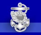 Navy Nurse Corps Association Logo