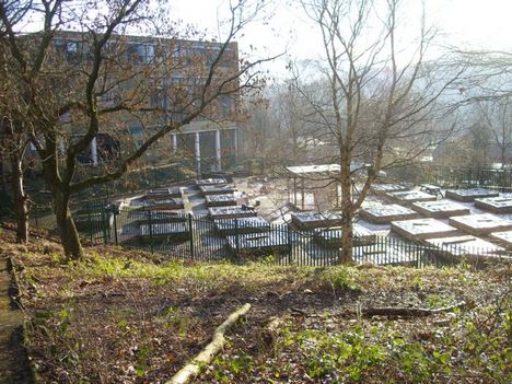 school flower and vegetable beds photo