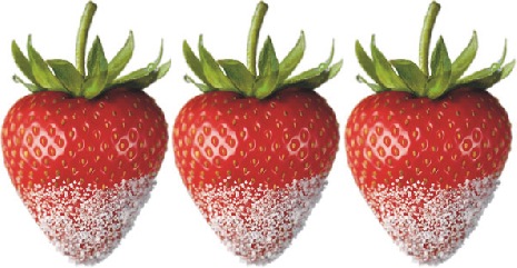 strawberries dipped in sweetener known under the aliases stevia rebiana truvia zevia or purevia image