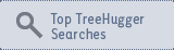 th searches