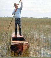 Glenn Simmons poling a glades skiff in the Everglades