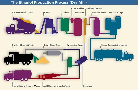 The ethanol production process.
