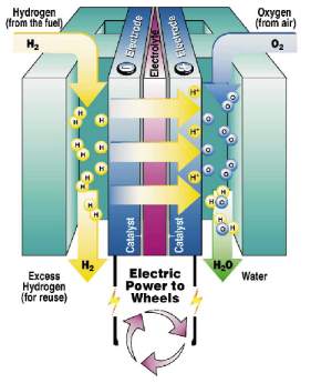 A hydrogen fuel cells