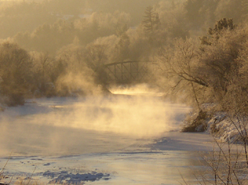 Winter scene