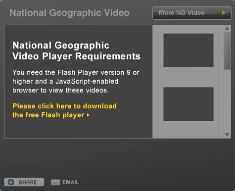 This presentation requires flash. Please click here to download the free flash player.