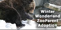 Link to ZooParent Special Adoption