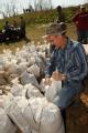 Des Arc, AR, March 25, 2008 -- Members of the community band together to fill sandbags for an operation going on near a levee in an area called Sa...