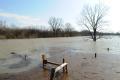 West Memphis, AR, March 27, 2008 -- Flood waters remain high near the Mississippi River.  The levee in West Memphis has received mitigation fundin...