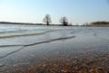 Clarendon, AR, March 27, 2008 -- Flood waters from the White River has turned this farm land into a lake. Communities throughout the area have bee...