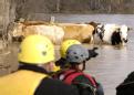 Eureka, MO, March 22, 2008  -- Members of the Missouri Emergency Response Service team, a non-profit that does large animal rescues,  launch a boa...