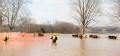 Eureka, MO, March 22, 2008 -- Members of the Missouri Humane Society along with a volunteer large animal rescue group, Missouri Emergency Response...