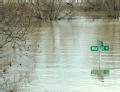 Fenton, MO, 03/23/2008 -- Neighborhoods throughout the area remain inundated with water.

Jocelyn Augustino/FEMA