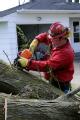 Parkersburg, IA, May 28, 2008 -- Fire Specialist, Ryan Schlater, State of Iowa, Department of Natural Resources (DNR), removes fallen trees from a...