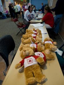 Windsor, CO, May 26, 2008 -- State Farm 'teddy bears' lined up on a table at the Recovery Center in Colorado.  The Community  Rec center was trans...