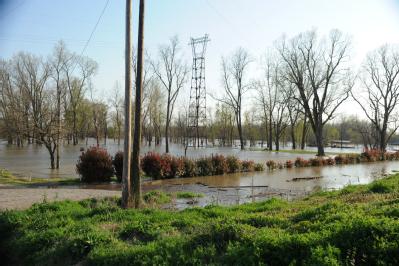 Clarendon, AR, March 27, 2008 -- Flood waters from the White River affect farm land and communities throughout the area.  The flooding is connecte...