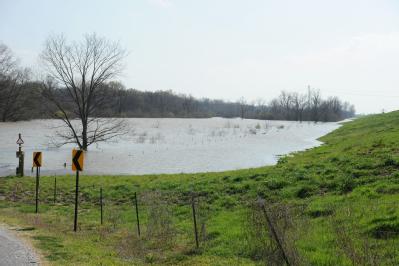 West Memphis, AR, March 27, 2008 -- Flood waters remain high near the Mississippi River.  The levee in West Memphis has received mitigation fundin...