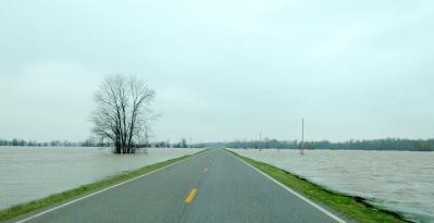 Biscoe, AR, March 28, 2008 -- Flood waters from the Cache River, a tributary of the White River, floods farm land and some houses throughout the r...