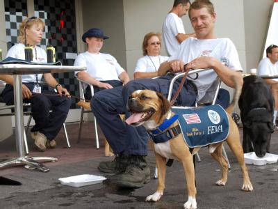 Atlanta, GA, August 31, 2008 -- Timothy Lombardi, and Buster, of FEMA's Urban Search and Rescue system's Ohio Task Force One, rest at the Hilton H...