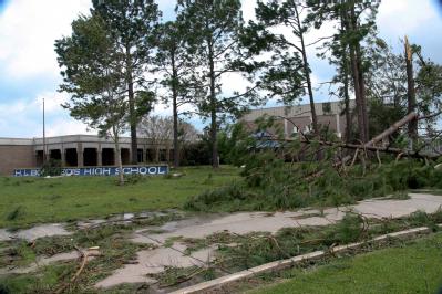 Houma, LA, September 2, 2008 -- Hurricane Gustav downs large pine trees onto H.L. Bourgeois High School in Houma. Jacinta Quesada/FEMA