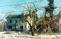 undetermined, NY, January 25, 1998 -- Ice covered much of the foliage in the region, weighing down trees and causing extensive damage to property....
