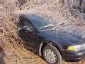 Little Rock, AR December 29, 2000 -- Many Arkansas residents experienced personal property damage in the recent ice storm.                        ...