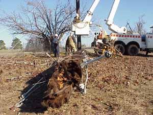 Texarkana, Arkansas, December 29, 2000 -- Power workers work on power lines brought down by a severe winter ice storm.  Photo By JOHN SHEA/ FEMA N...