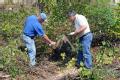 Hilliard, FL, September 18, 2008 -- As part of the FEMA Public Assistance(PA) eligibility process, FEMA Debris Specialist Ray White inspects stump...