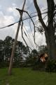Houma, LA, September 2, 2008 -- Power lines throughout Louisiana become entangled in trees from Hurricane Gustav's powerful winds and rain. Jacint...